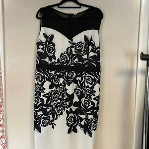 Nextmia Flirty Dress Black/White Sz 16
